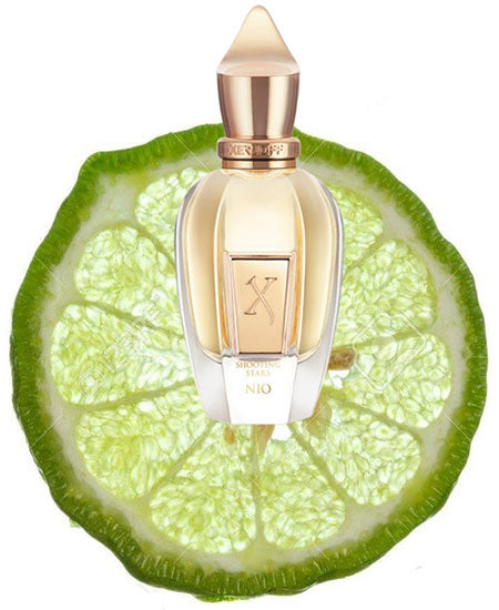 香水(ユニセックス) Xerjoff Nio 50ml Xerjoff Nio Eau de Parfum | Scents Angel