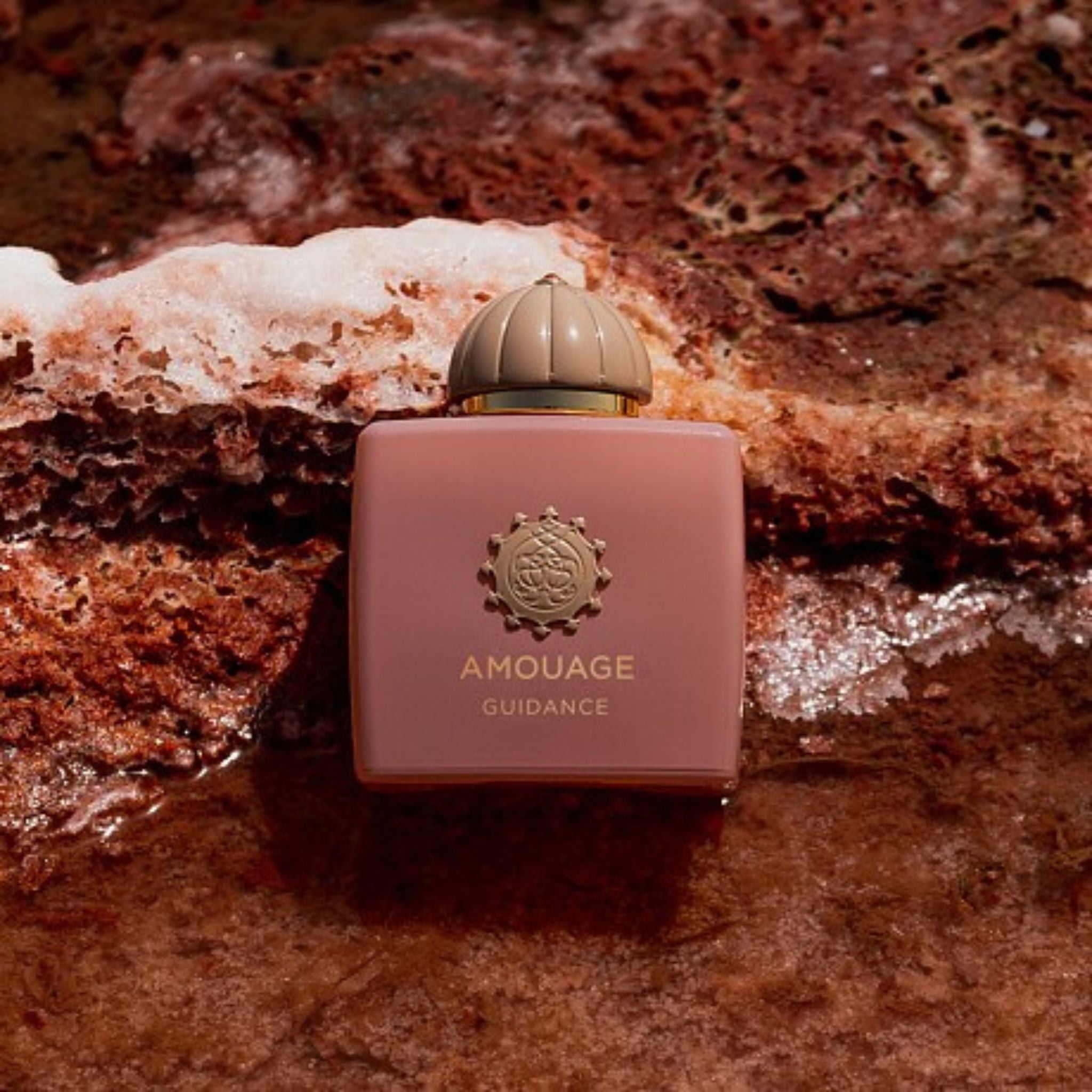 Guidance | Amouage | parfumexquis