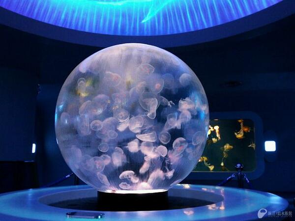 昨夏誕生した球型水槽「クラゲプラネット（海月の惑星）」。多くの工夫