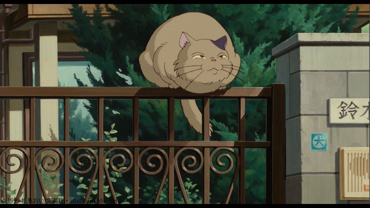 今、雫さんが追っている猫は“ムーン”といい、聖司さんが名付けました
