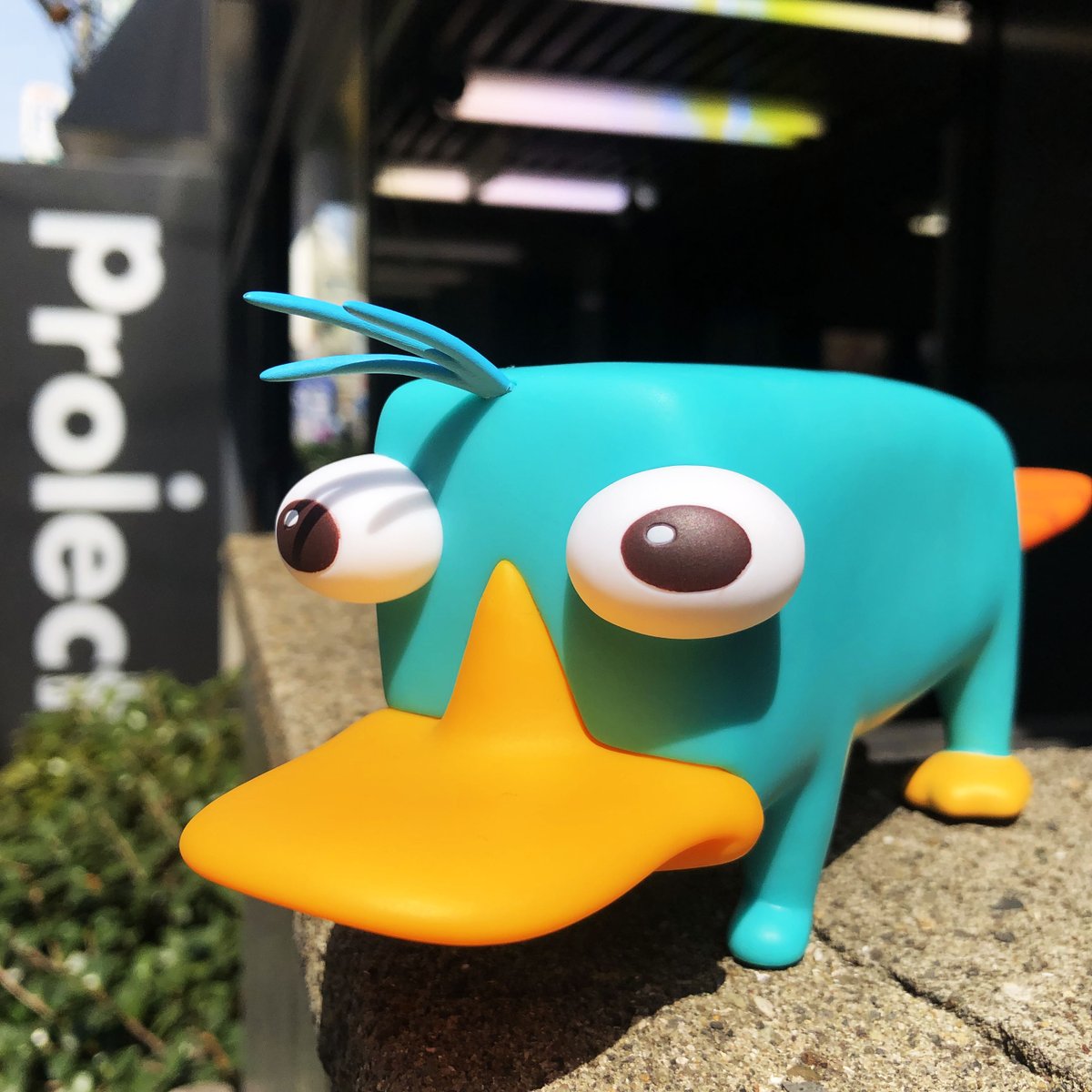 Today's 1.6】 #フィニアスとファーブ のペットを立体化した『VCD