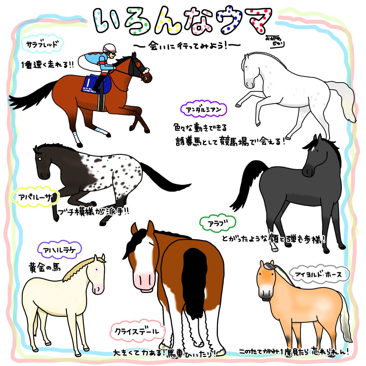 馬の種類を知ればもっと乗馬が楽しくなる！ いろいろな子がいるから