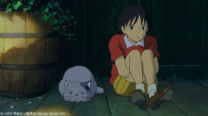 雫さんと似ているようで似てない猫“ムーン”🐱。聖司さんが名づけてい