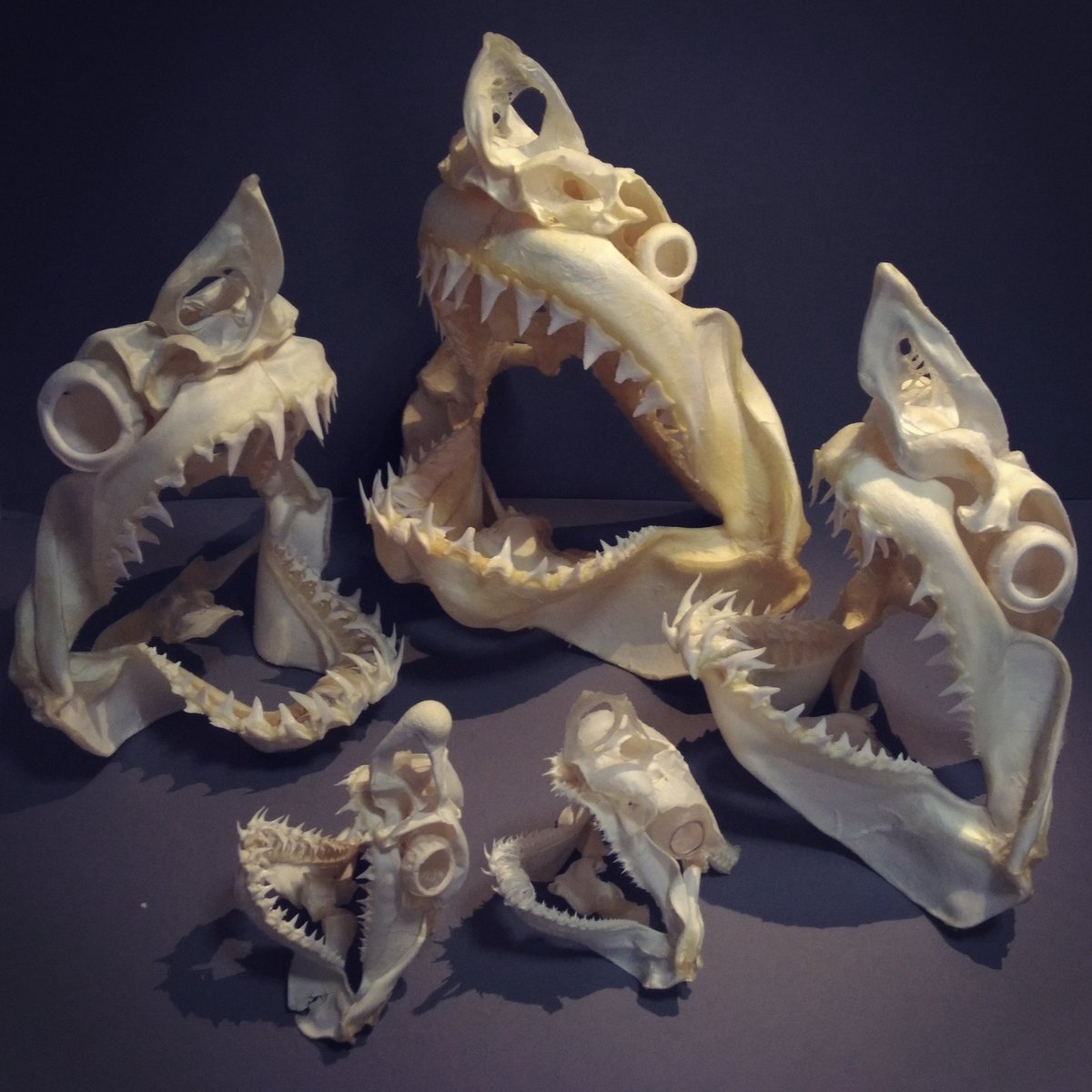 DDTfAzXUAAAjFxD.jpg?format=jpg