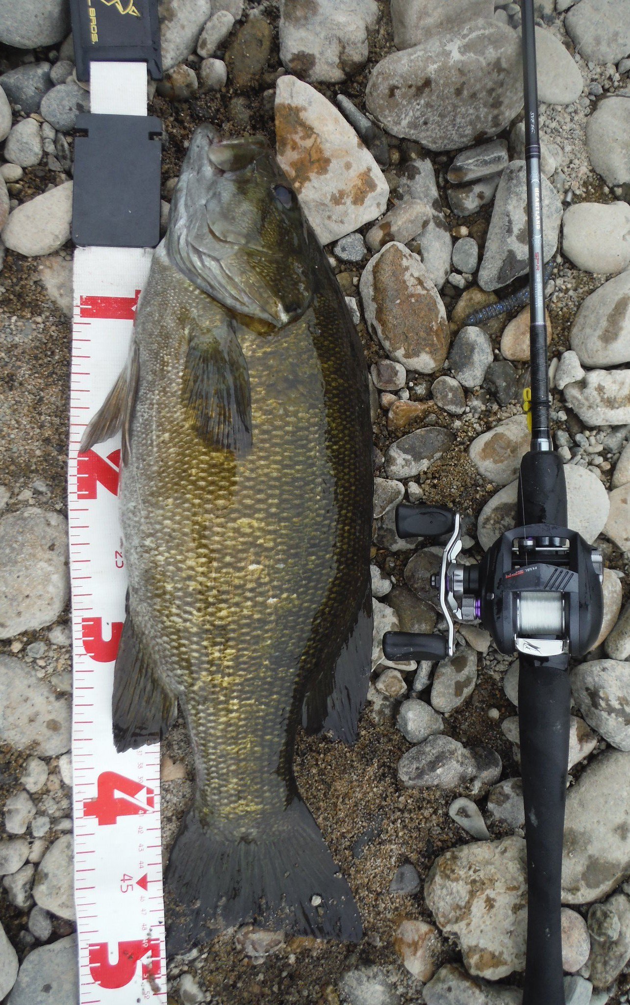 KZ ダイワ ハートランド HL 6101MLFB-SV11 SPR610 KZ ダイワ ハート