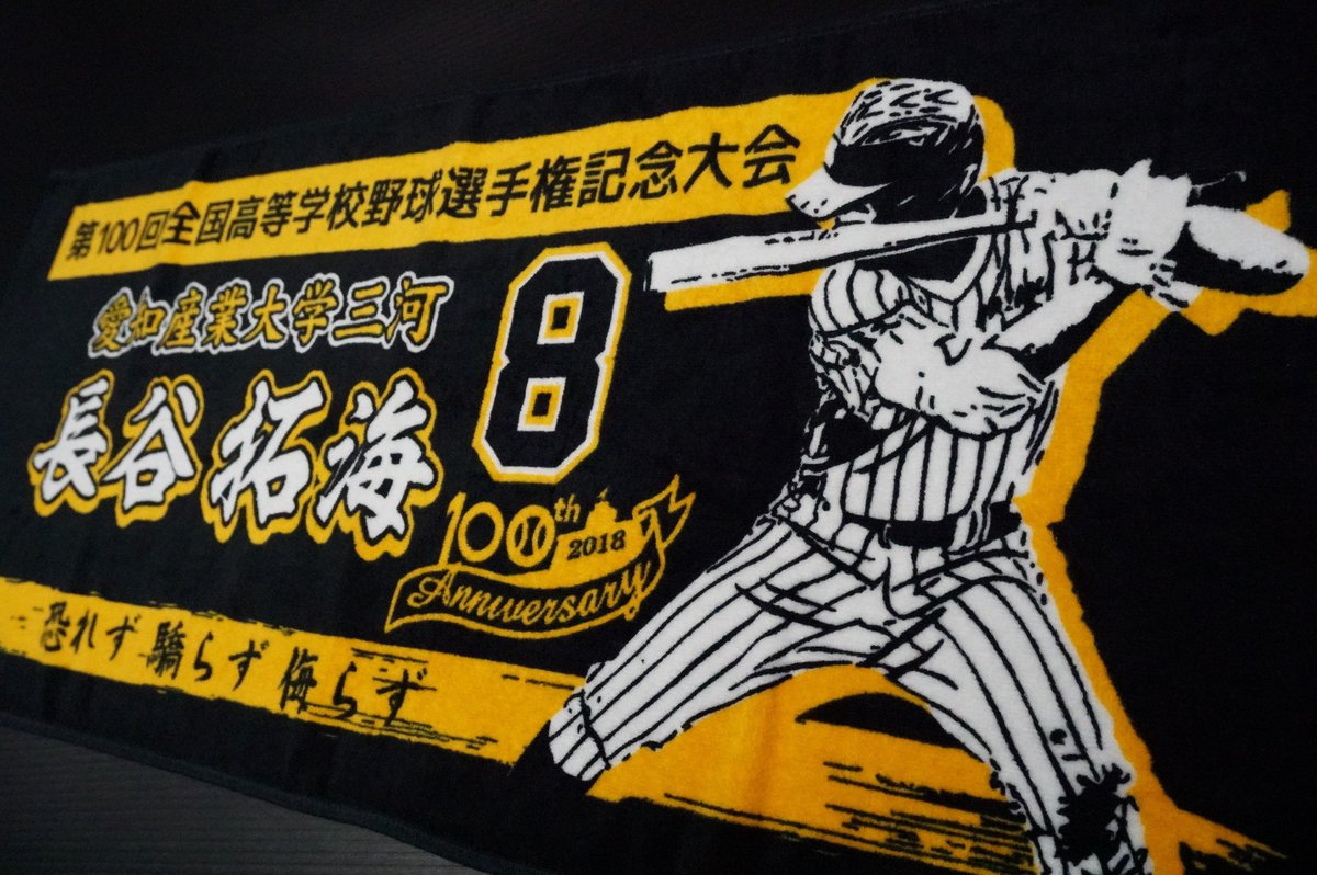 甲子園出場記念タオル 第100回全国高校野球選手権記念大会 東愛知代表