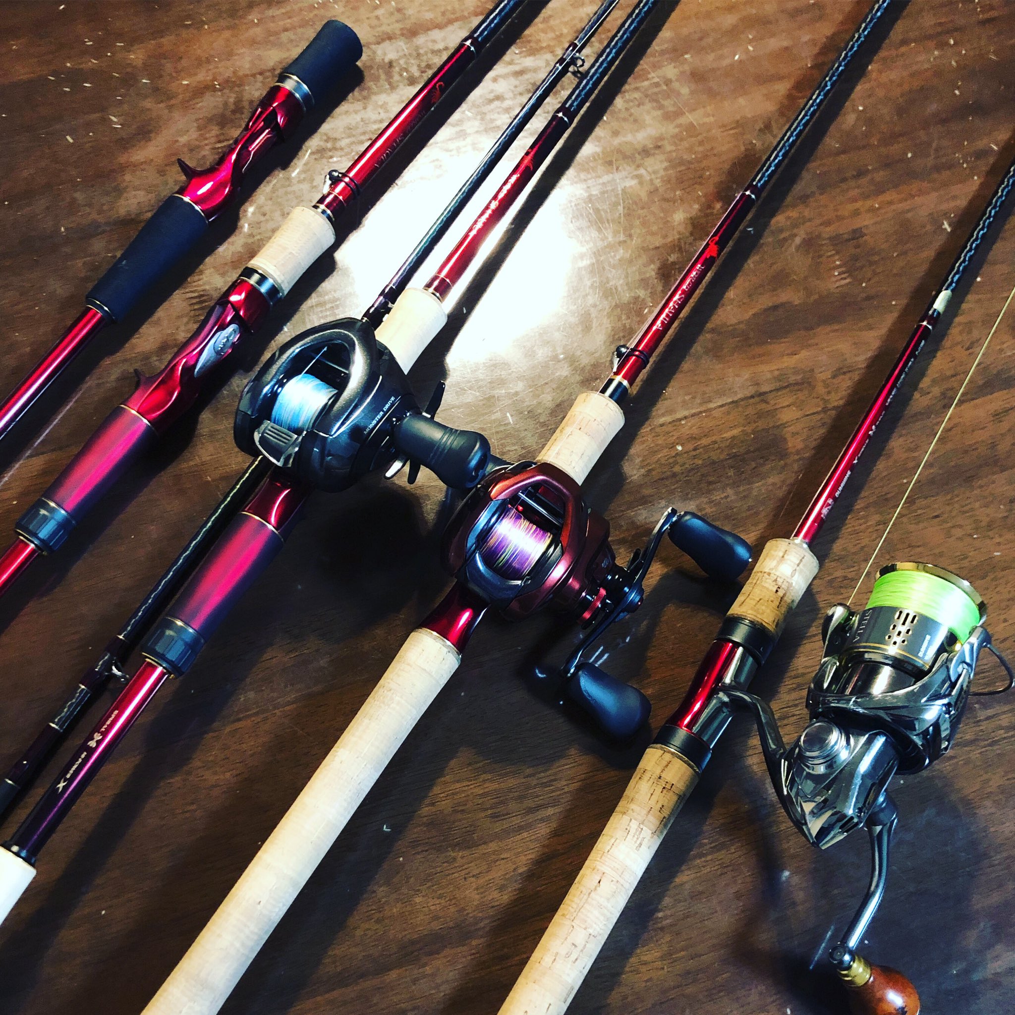 ワールドシャウラ 1652 セット 【公式通販】