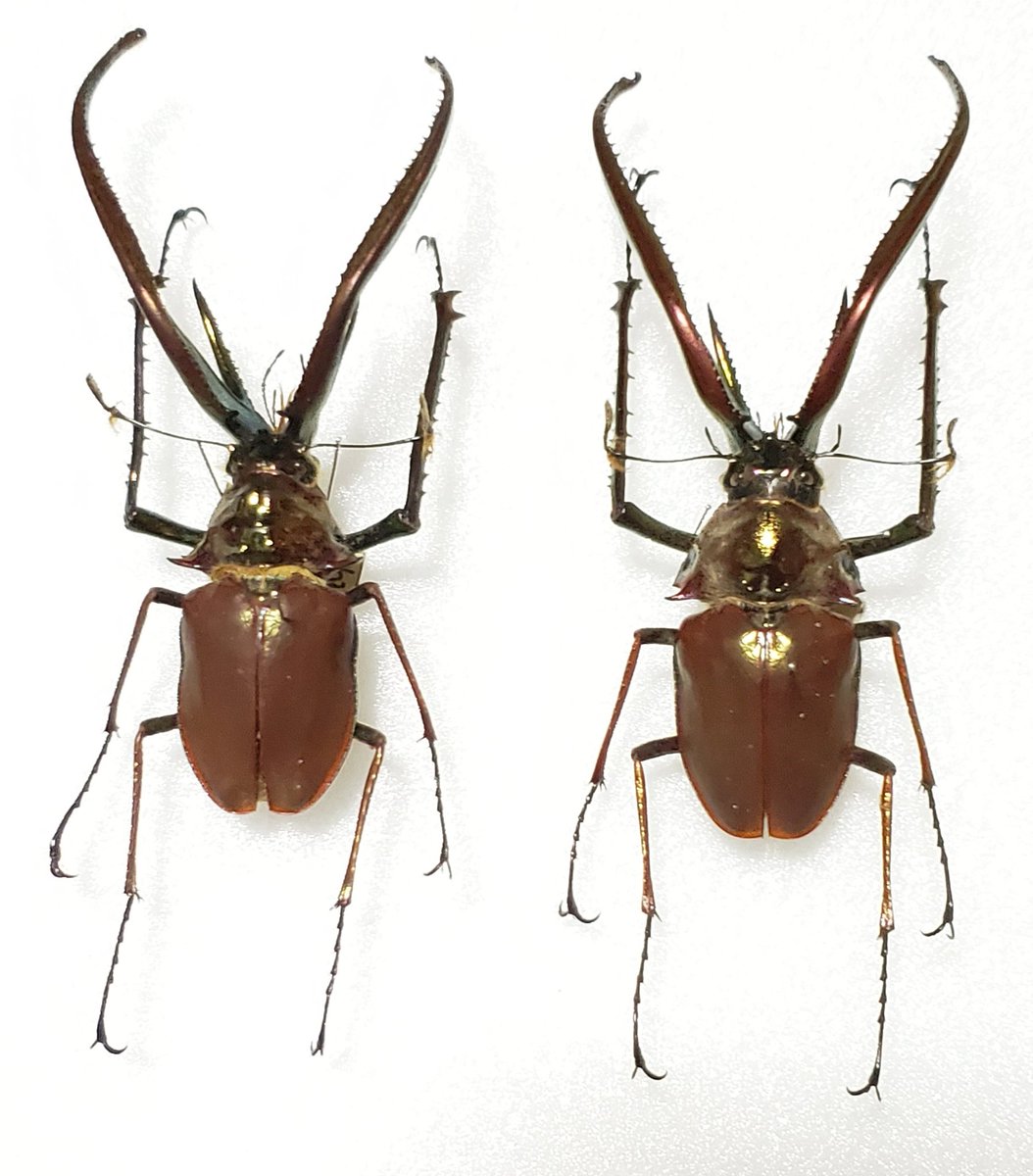 ELlqwzgUUAEzbat.jpg?format=jpg