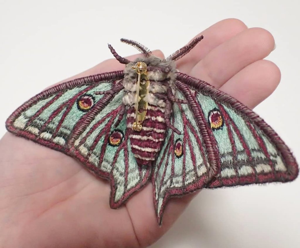 イザベラミズアオ♀さんも出来ました(^^)/✨お腹も翅も雄に比べてぽっ