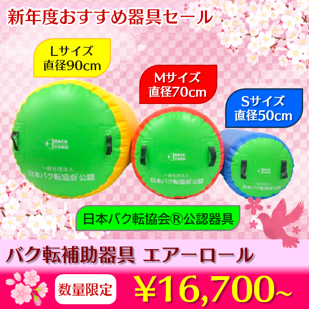 ☆バク転指導の効率が、グンと上がります！☆ 日本バク転協会公認器具