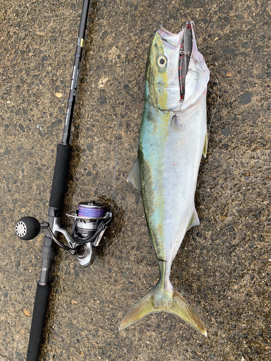 1スタ☆人気モデル】ダイワ ショアスパルタン スタンダード 96H DAIWA