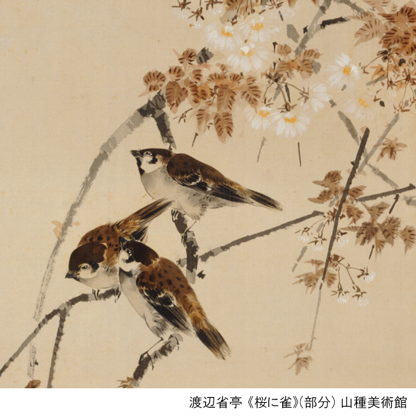花鳥画を得意とし、海外でも人気を博した画家 #渡辺省亭。《桜に雀