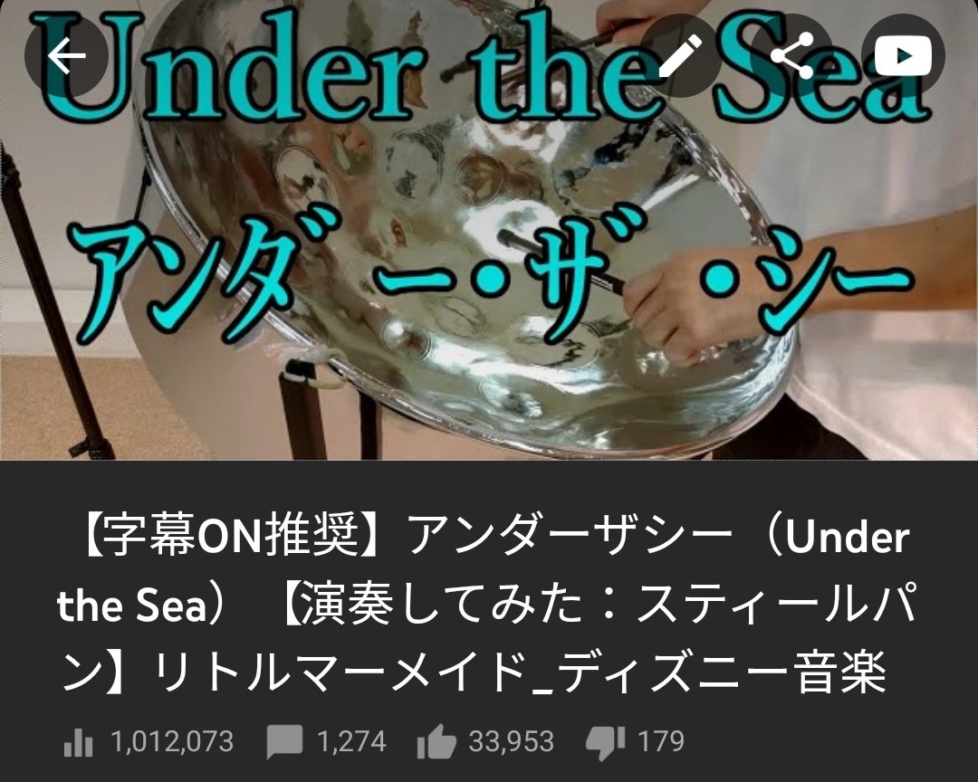SONOBEのスティールパン❣️15音‼️なんて不思議な音なの❓懐かしい