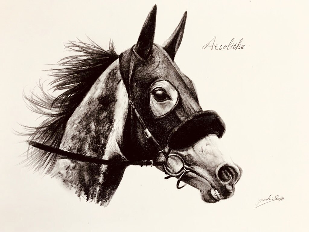 過去絵紹介] 鉛筆画より、競走馬アエロリット 芦毛特有の馬体と鬣の
