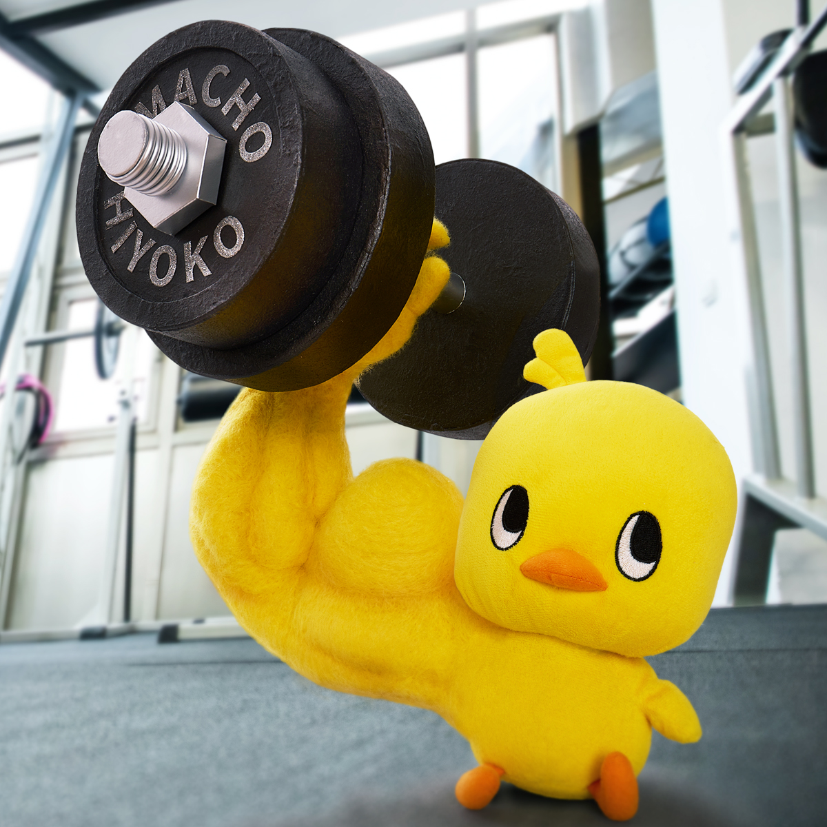 右腕だけパンプアップしちゃったです～ #フィットネスの日
