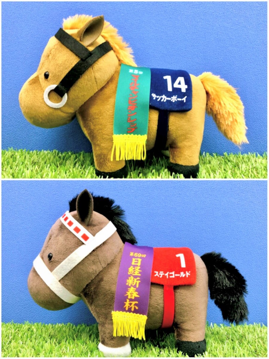 サッカーボーイ