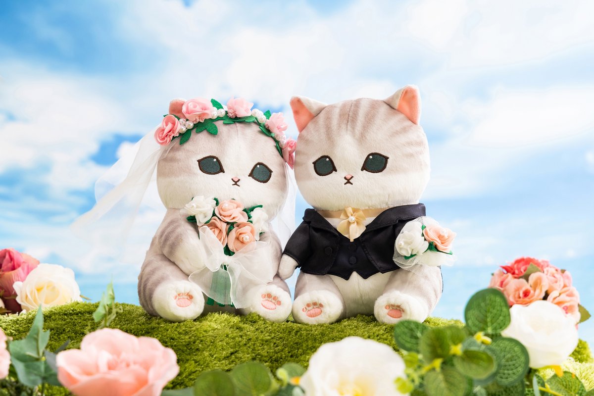 にゃんこのウエディングペアぬいぐるみ』 ご予約受付中です💍 詳しくは