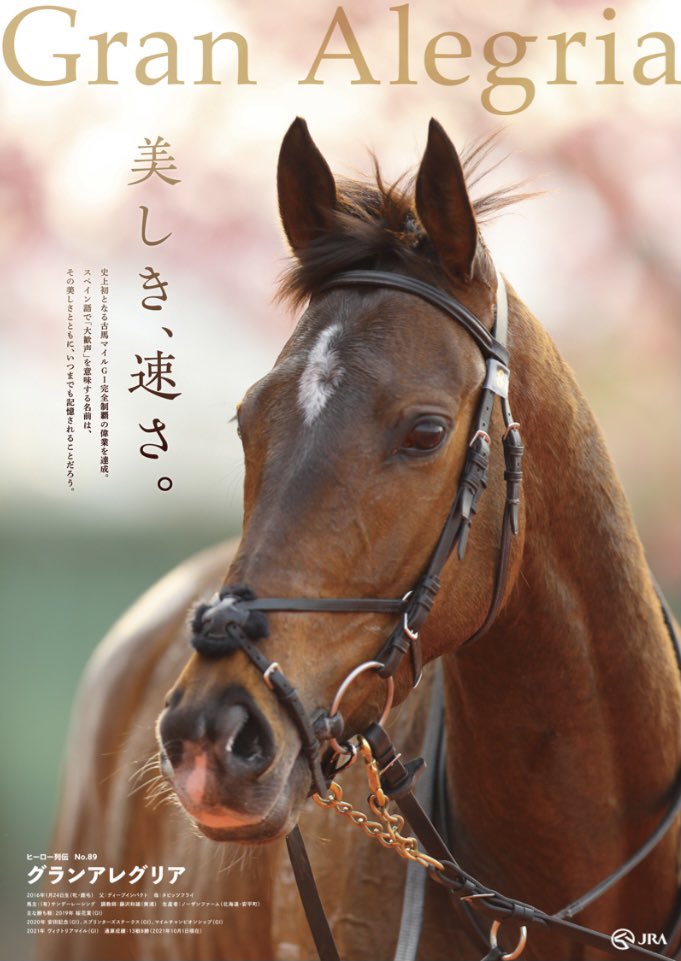 ヒーロー列伝にクロノジェネシスとグランアレグリア追加された！ 最近