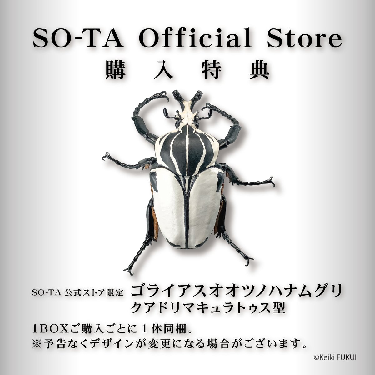 fukuinsect SO-TA公式ストア購入特典の画像を追加しました☀️ SO-TA