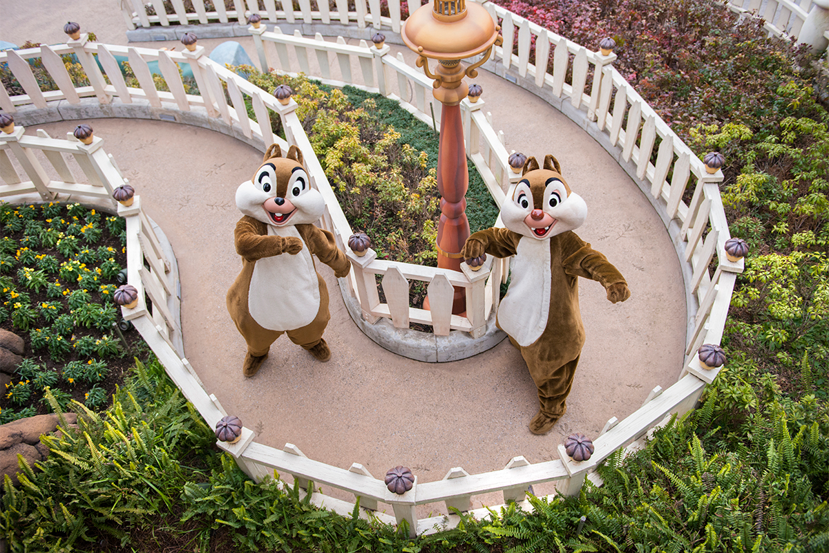 🎉🐿🎉🎉🎉🎉🎉🎉 Happy Birthday ! #チップとデール