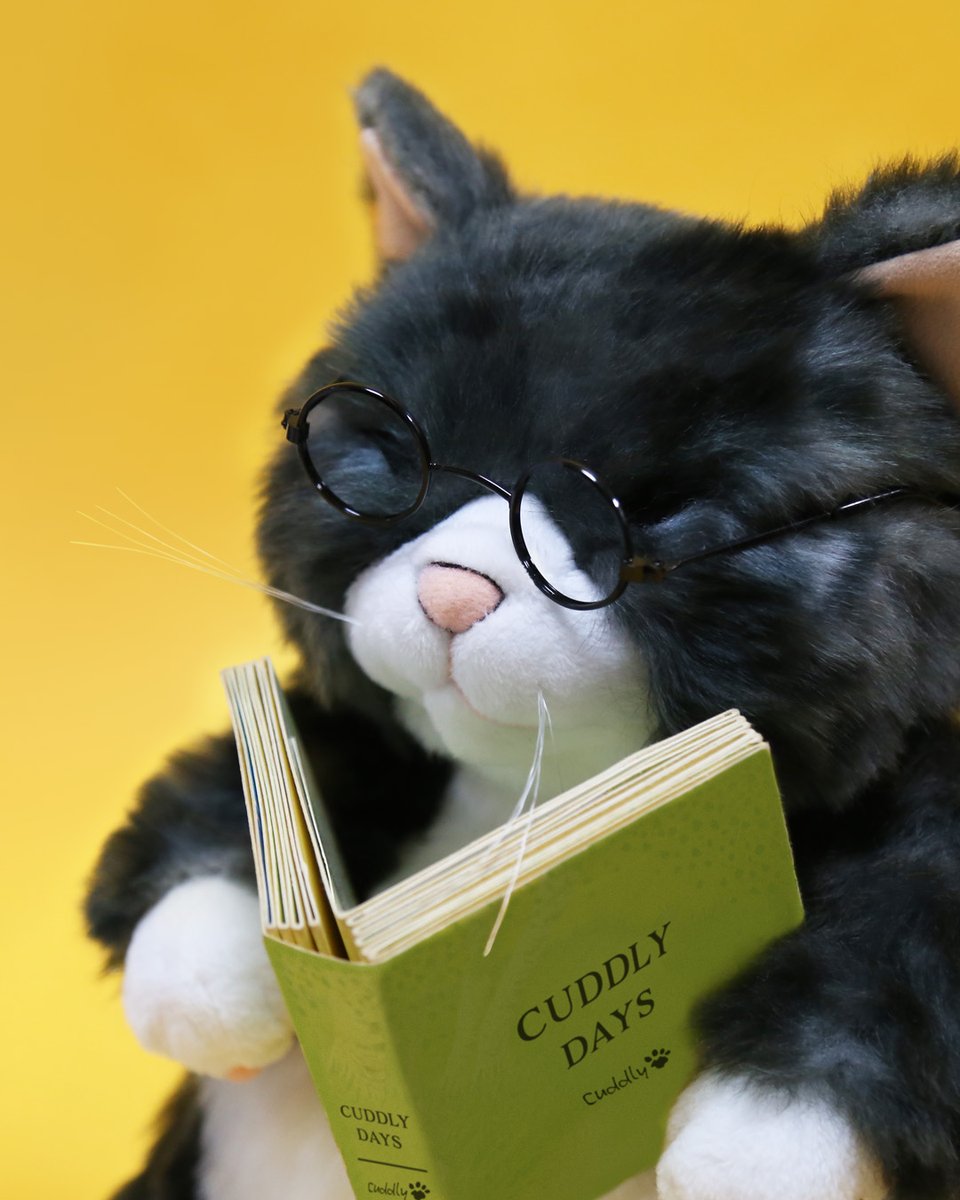 Cuddly（カドリー） (@CuddlyOfficial) / Posts / X