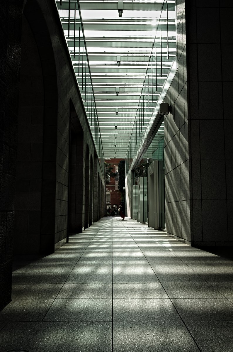 moimoi@SF (@singularityfree) / Posts / X