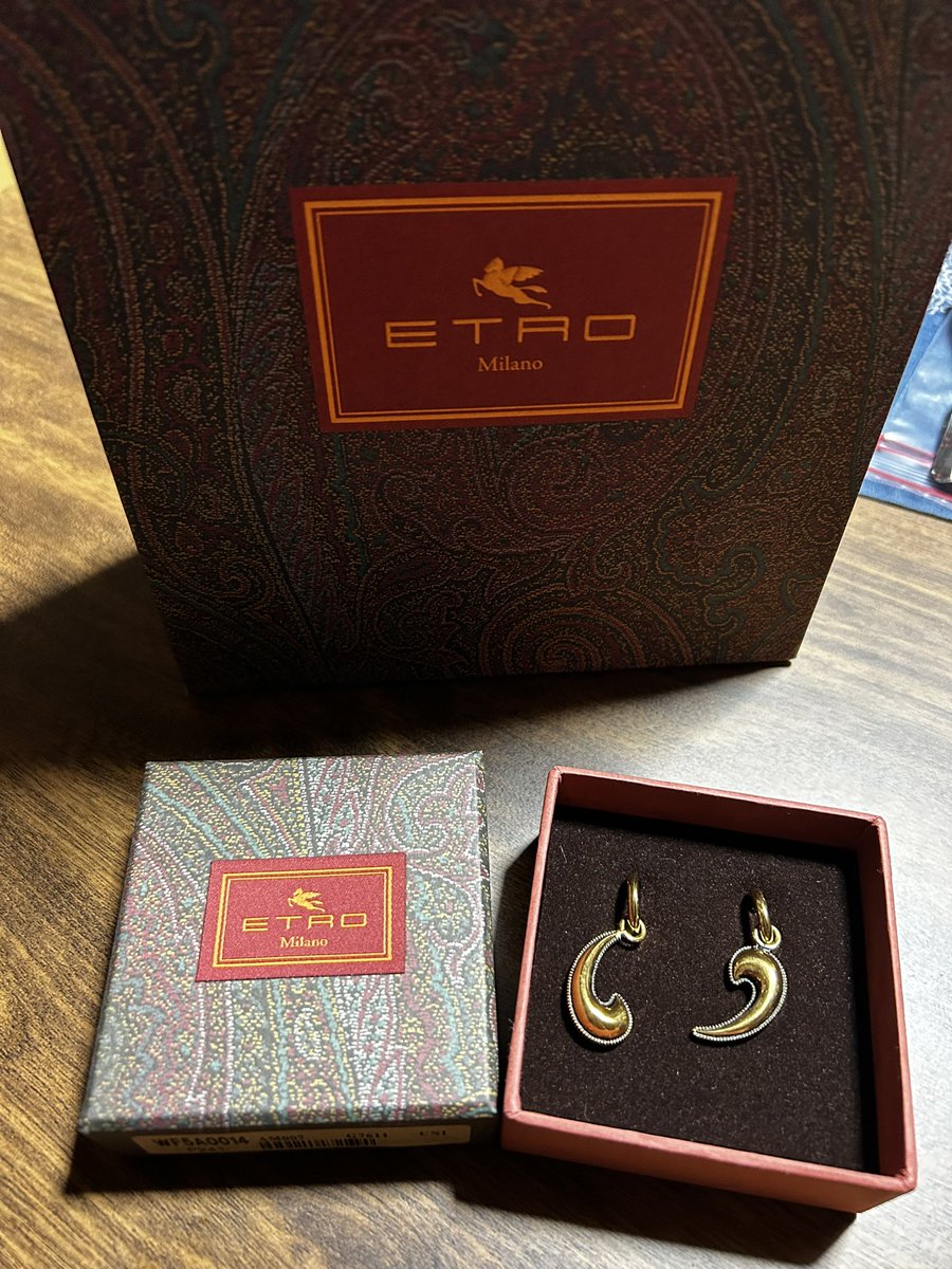 ブルーのETROのペイズリーピアスみたけどめっちゃ綺麗やった！ あと