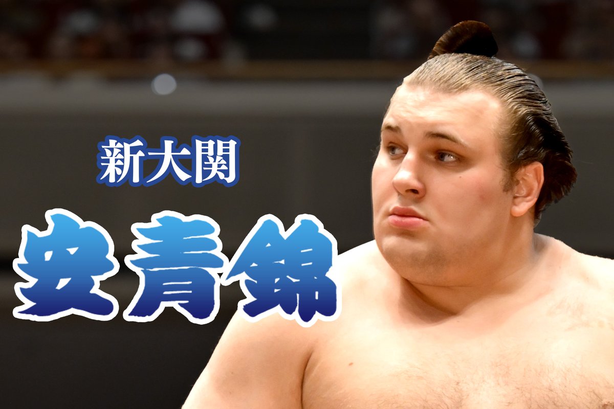 新大関！安青錦＞ 本日11月26日、令和8年一月場所の番付編成会議と臨時