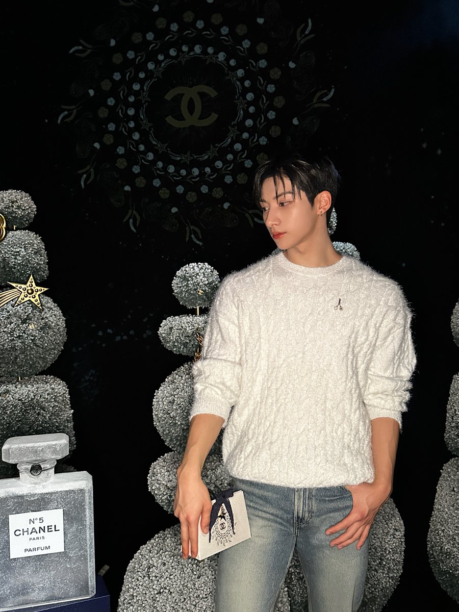 CHANEL WINTER CONSTELLATION - シャネルの星空」 素敵な景色を