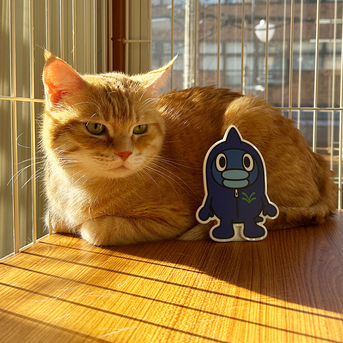 ☆neko3zukiねこさんずきさん☆12月20日 商品番号69 81-mb+UHYlL.jpg