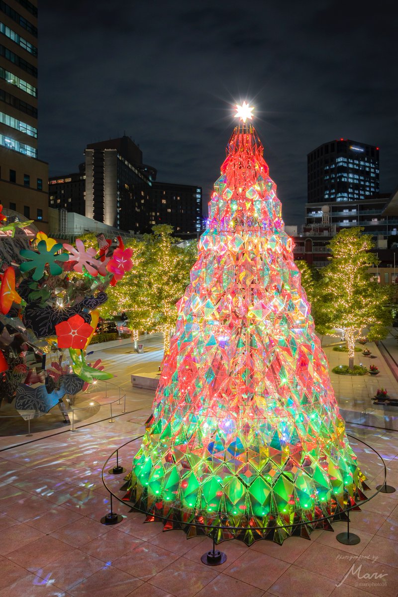 クリスマスイルミネーションがXで輝く冬の風物詩