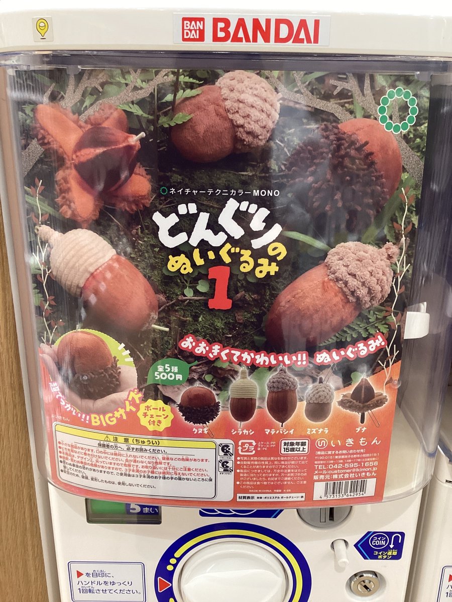 ガシャココ@アミュプラザみやざき入荷商品🌴 #どんぐりのぬいぐるみ1