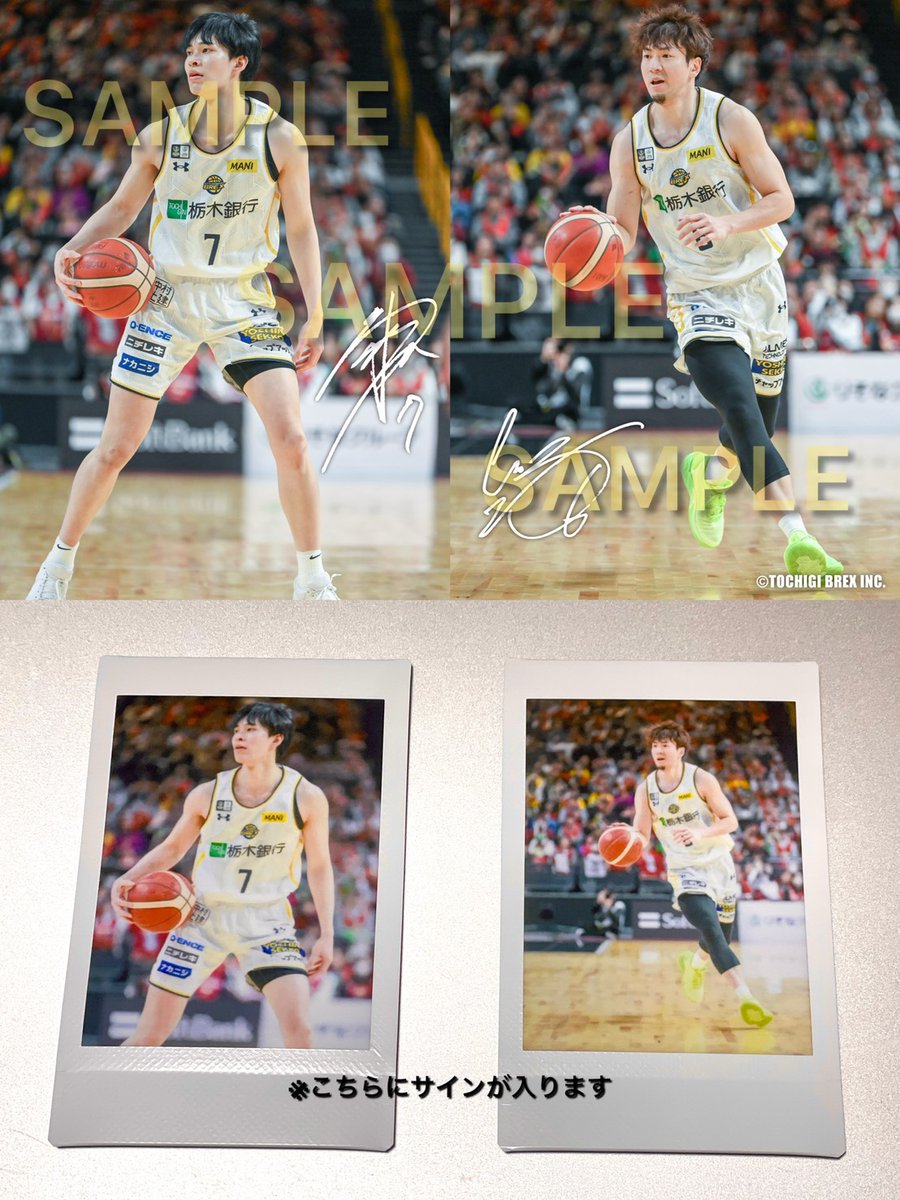 宇都宮ブレックス 比江島慎 チェキ 宇都宮ブレックス 比江島慎 チェキ