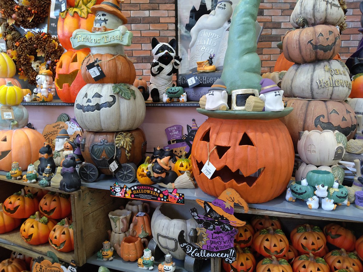 ガーデンセンター新田店】 当店ハロウィンコーナー展開中です！ この