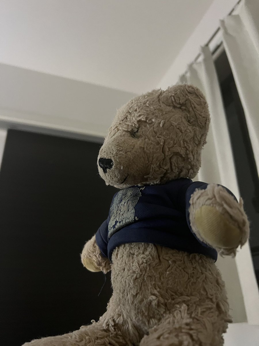 くま (@mark_teddybears) / Posts / X