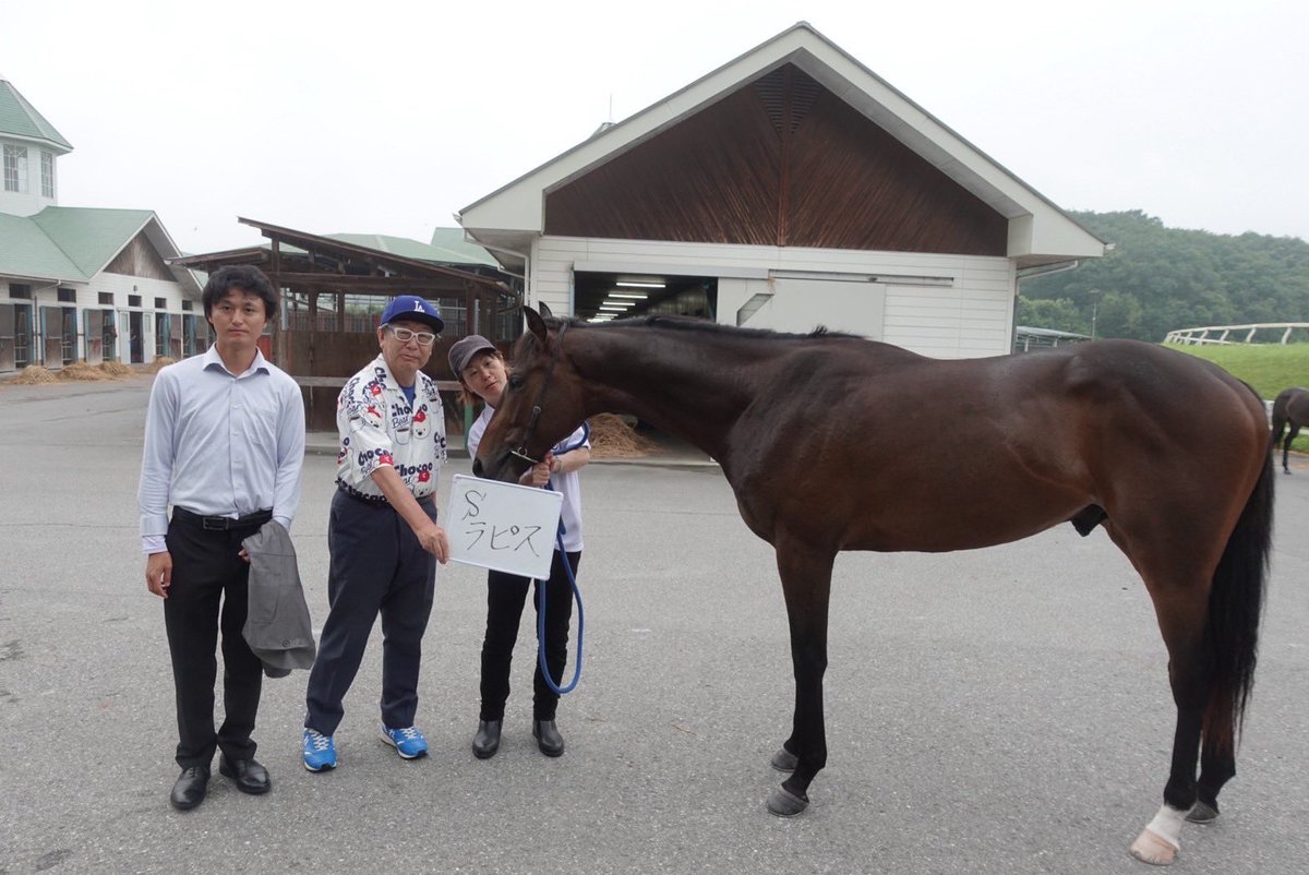 西山茂行サイン セイウンプラチナJRA