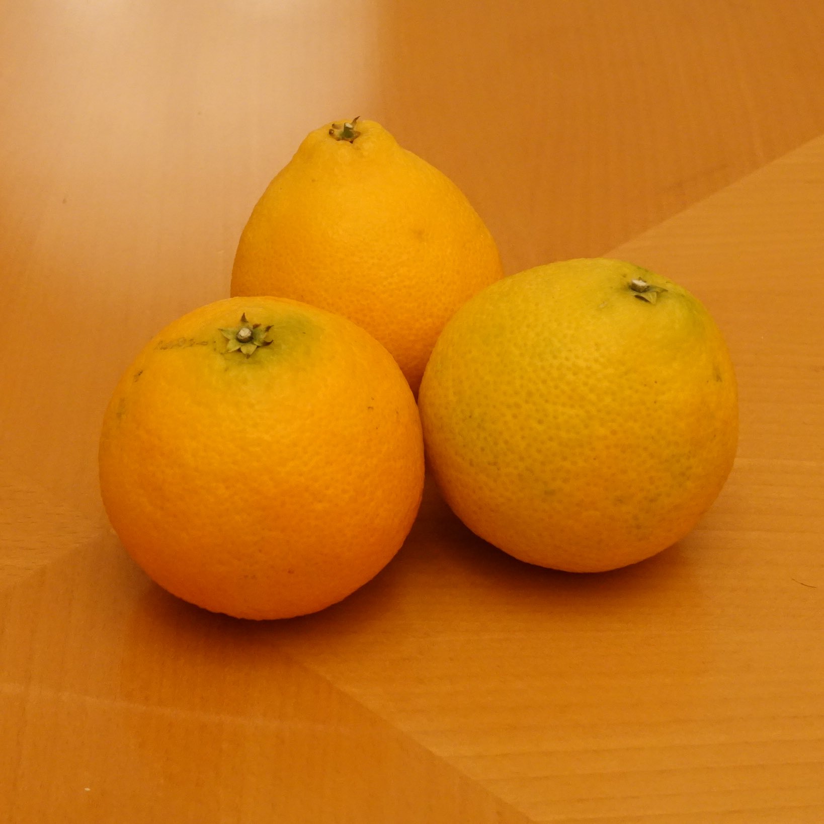 みかん様ご確認ページ② みかんさま用 みかん様 ミカン様 蜜柑様
