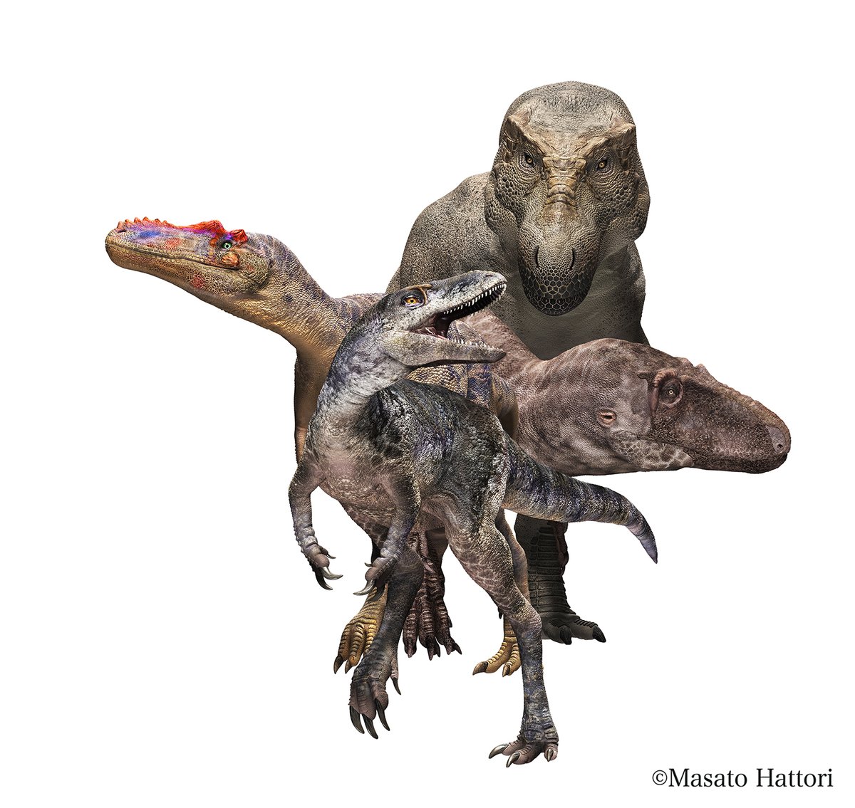 レア 陸上自衛隊 普通科隊員 中隊長 服部雅人 フイギュア レア 陸上