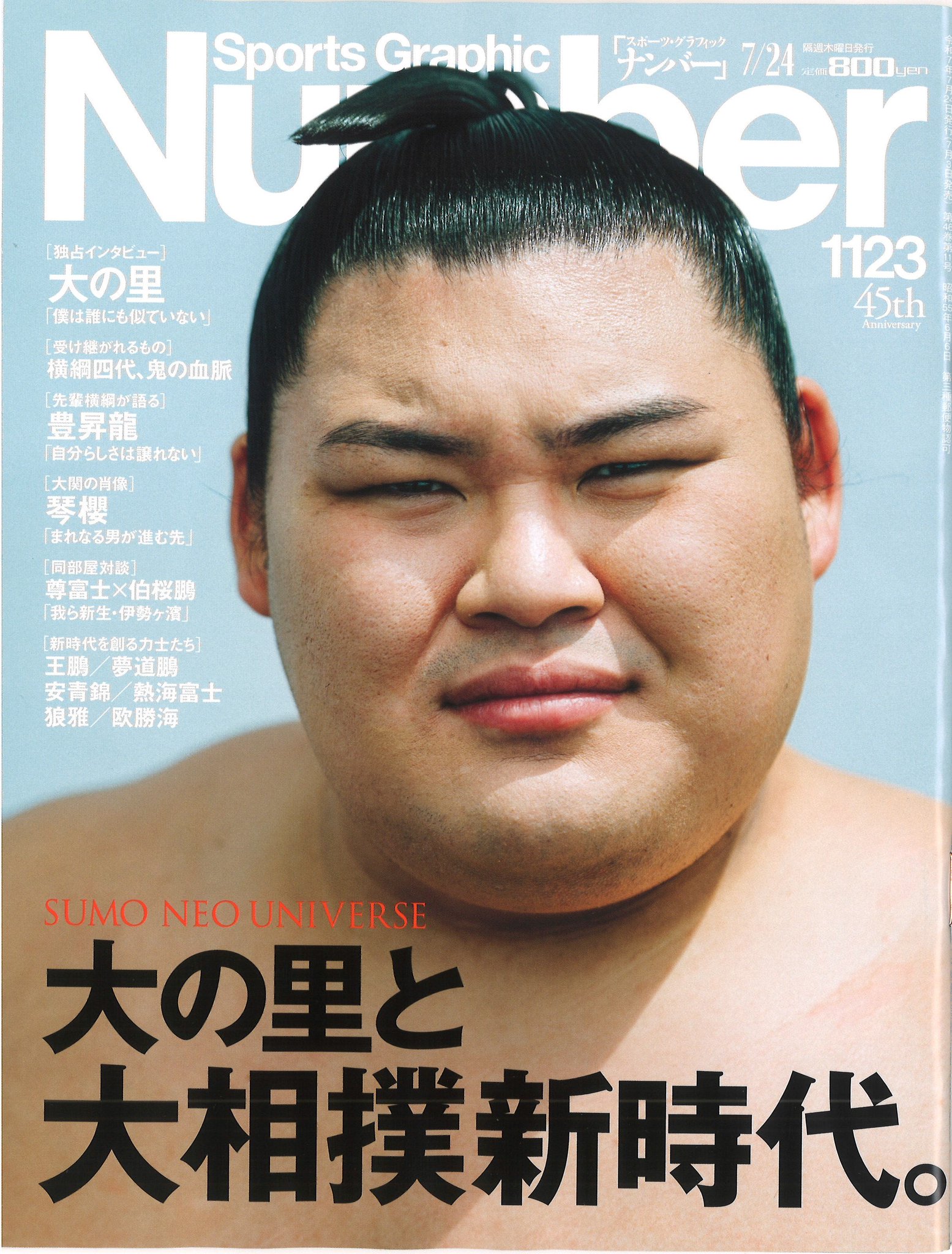 なんと3点！貴重！遠藤関 永谷園 新聞広告 切り抜き 大相撲 2014年他