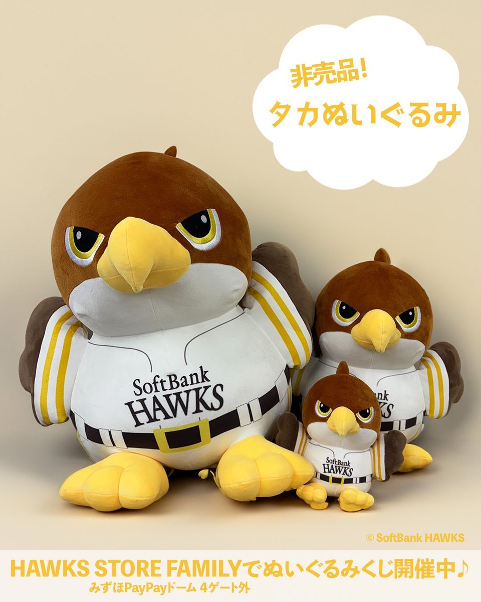 📢HAWKS STORE情報 ＼ HAWKS STORE FAMILY（みずほPayPayドーム 4