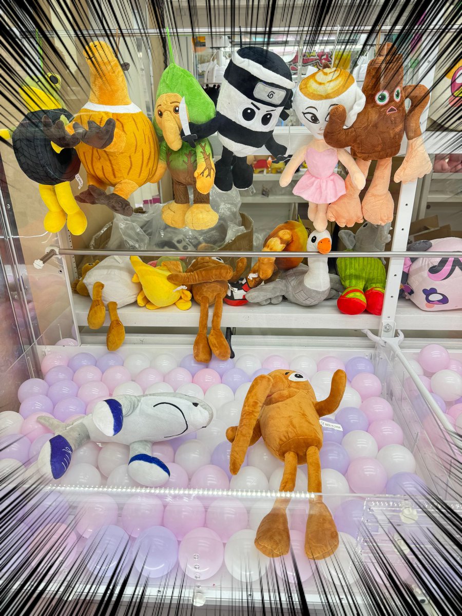 アミューズメント入荷情報🎉 話題沸騰！イタリアンブレインロット