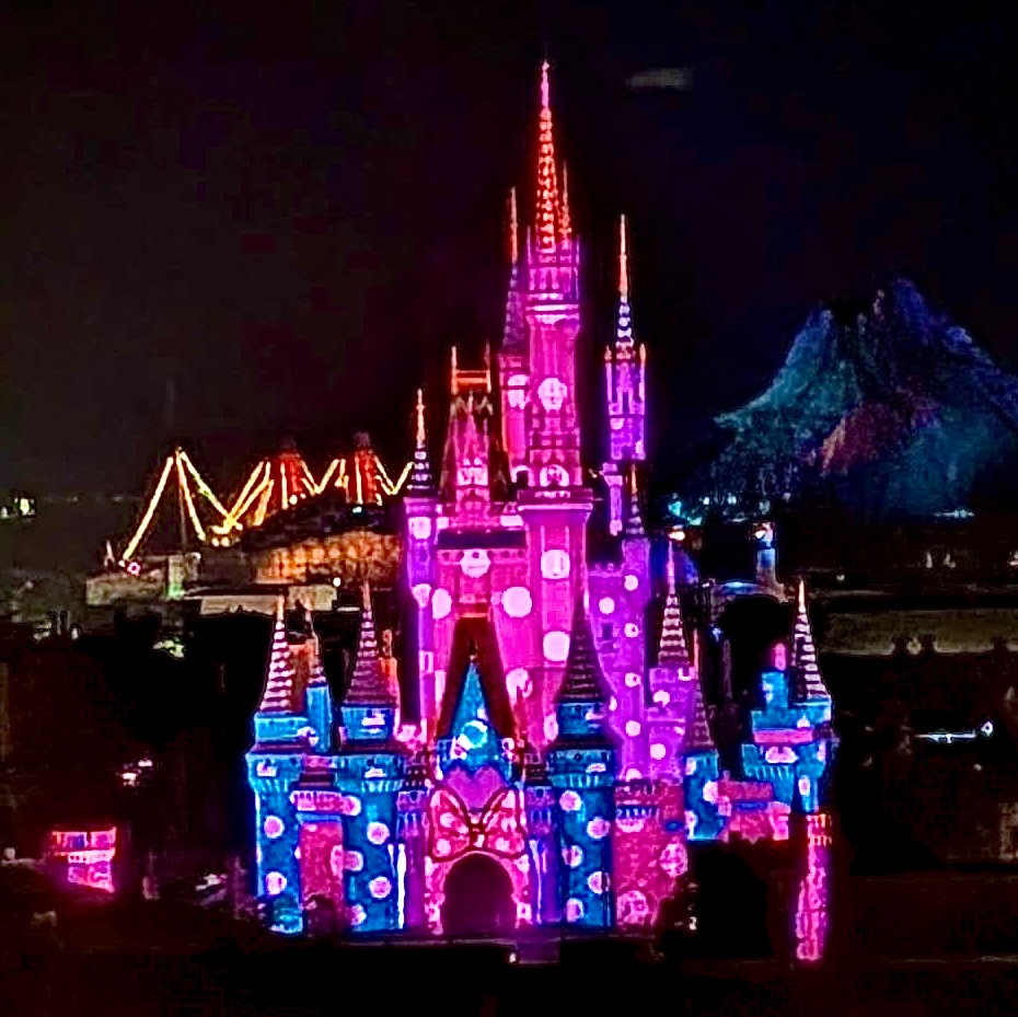 話題】 □8/25(月)閉園後 #東京ディズニーランド シンデレラ城