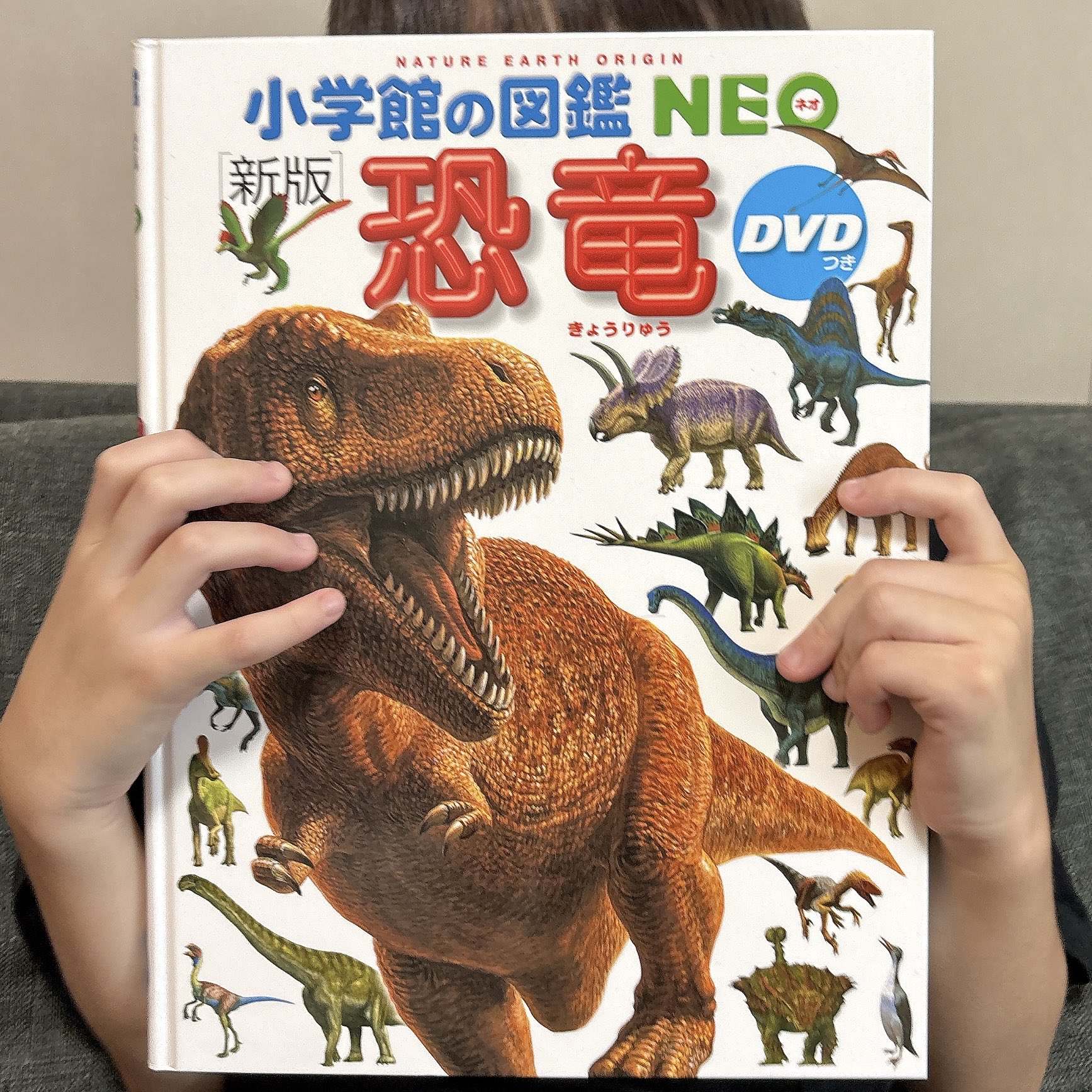 図鑑 10冊セット 小学館の図鑑NEO 10冊セット 恐竜・昆虫・宇宙・動物 DVD