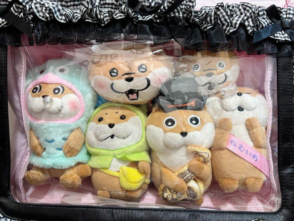 ぬんぬん (@kawauso_nun) / Posts / X