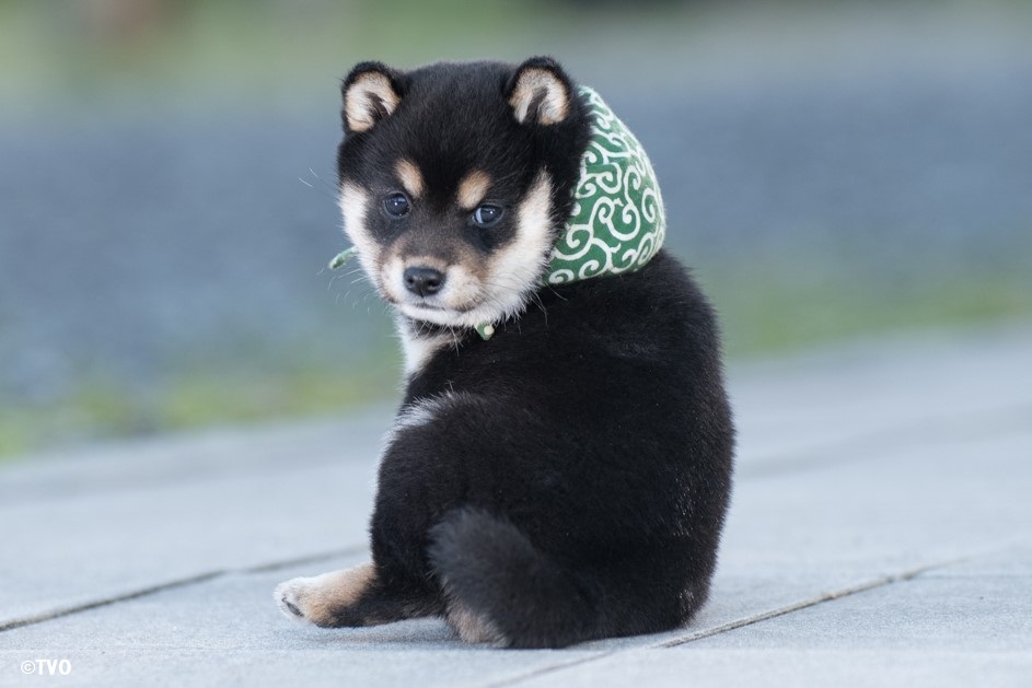 GH0RXKtaQAA0HtY.jpg?format=jpg