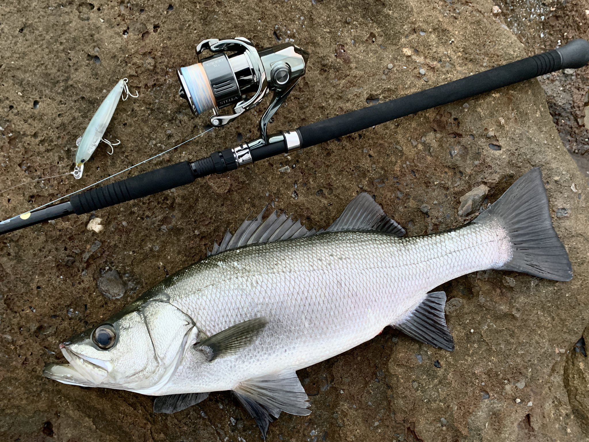 グランデージアトラス BLACKFIN 109H アピア グランデージアトラス