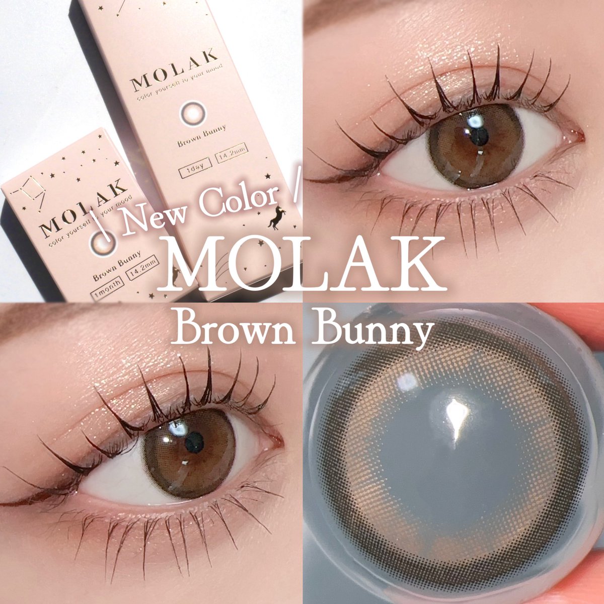 宮脇咲良ちゃんプロデュース MOLAKから待望の新色登場🐰❕ ◾︎ Brown