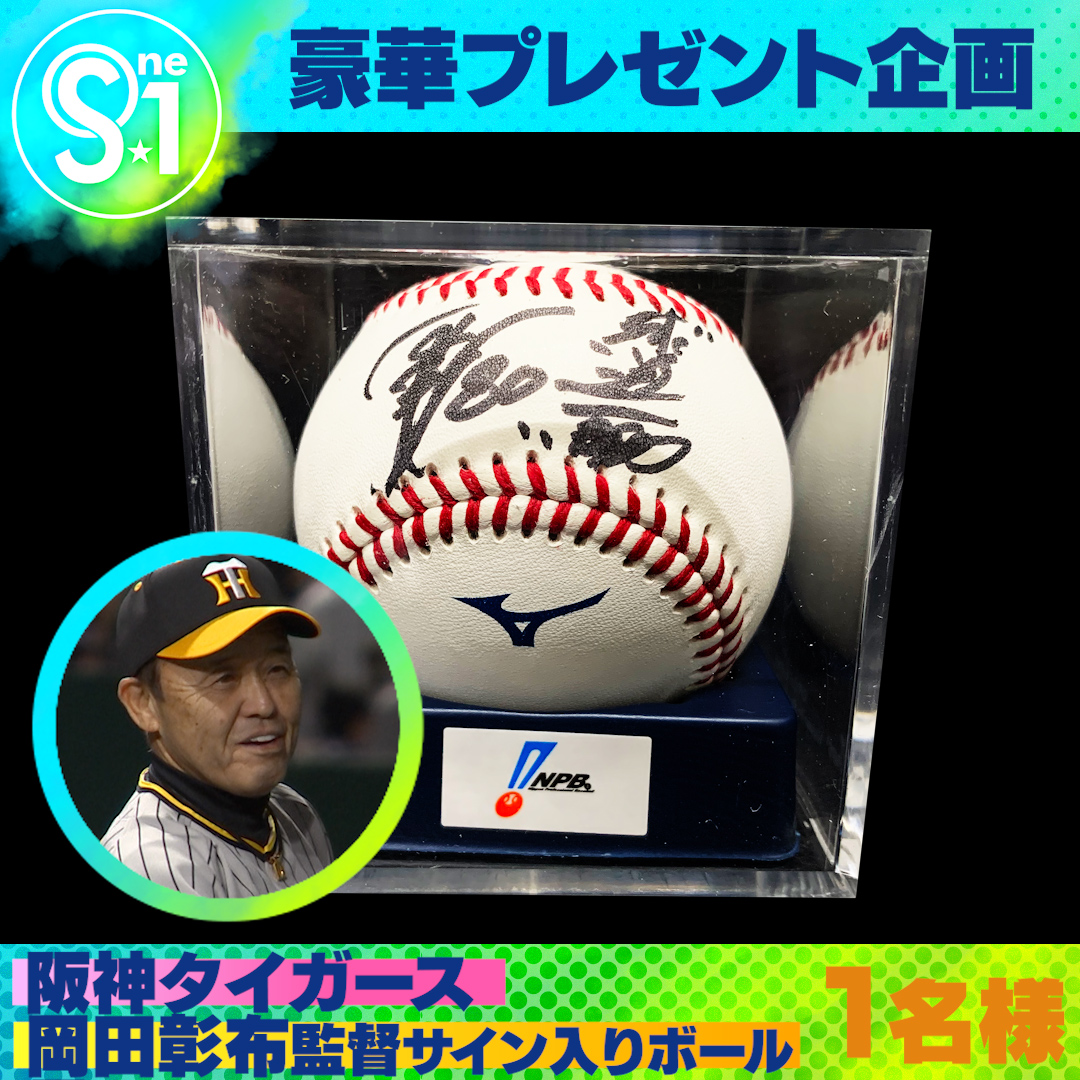 甲子園100周年記念 記念ボール 岡田彰布 【公式通販】