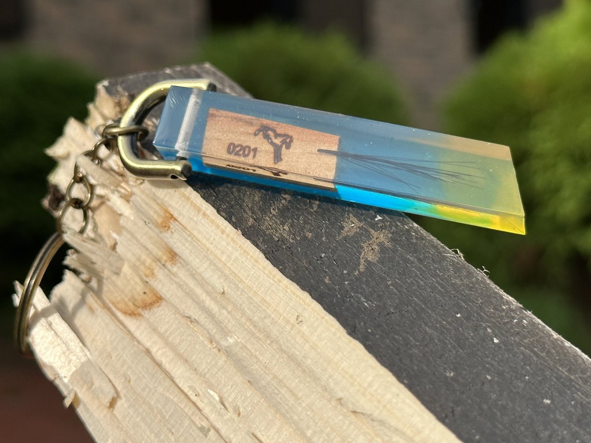 GOPA6esbYAE2v7N.jpg?format=jpg