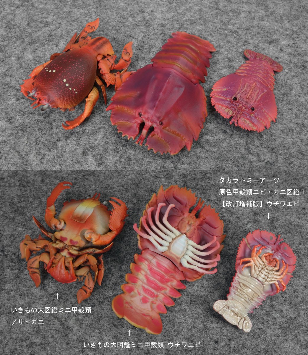 原色甲殻類エビ・カニ図鑑I コンプリート専用ケース、ミニブック付き